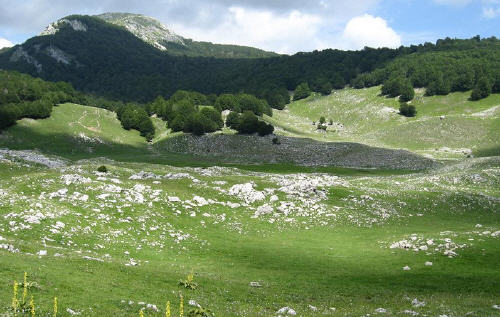 Lago Vivo in estate