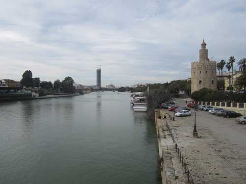 Foto del fiume e della Torre